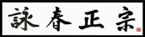 Wing Chun Kung Fu Breda